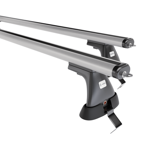 Aluminium-Dachträger für Renault Scenic mk III (2009-2016) - silbern Dachträger Dachgepäckträger - ohne Montagelemente