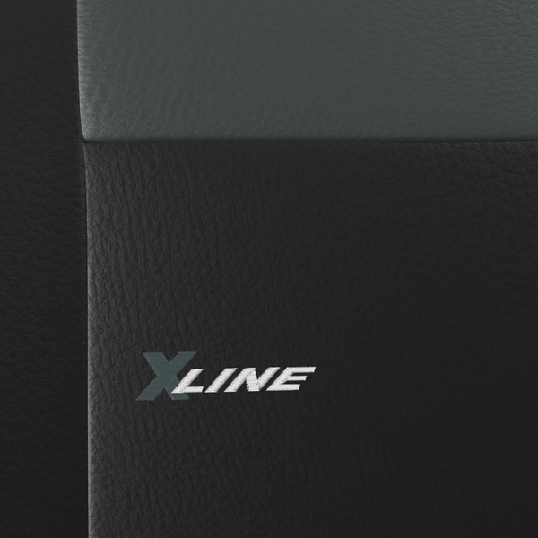 Universal Sitzbezüge Auto für Seat Leon I, II, III (1999-2019) - Vordersitze Autositzbezüge Schonbezüge - 2XL-G